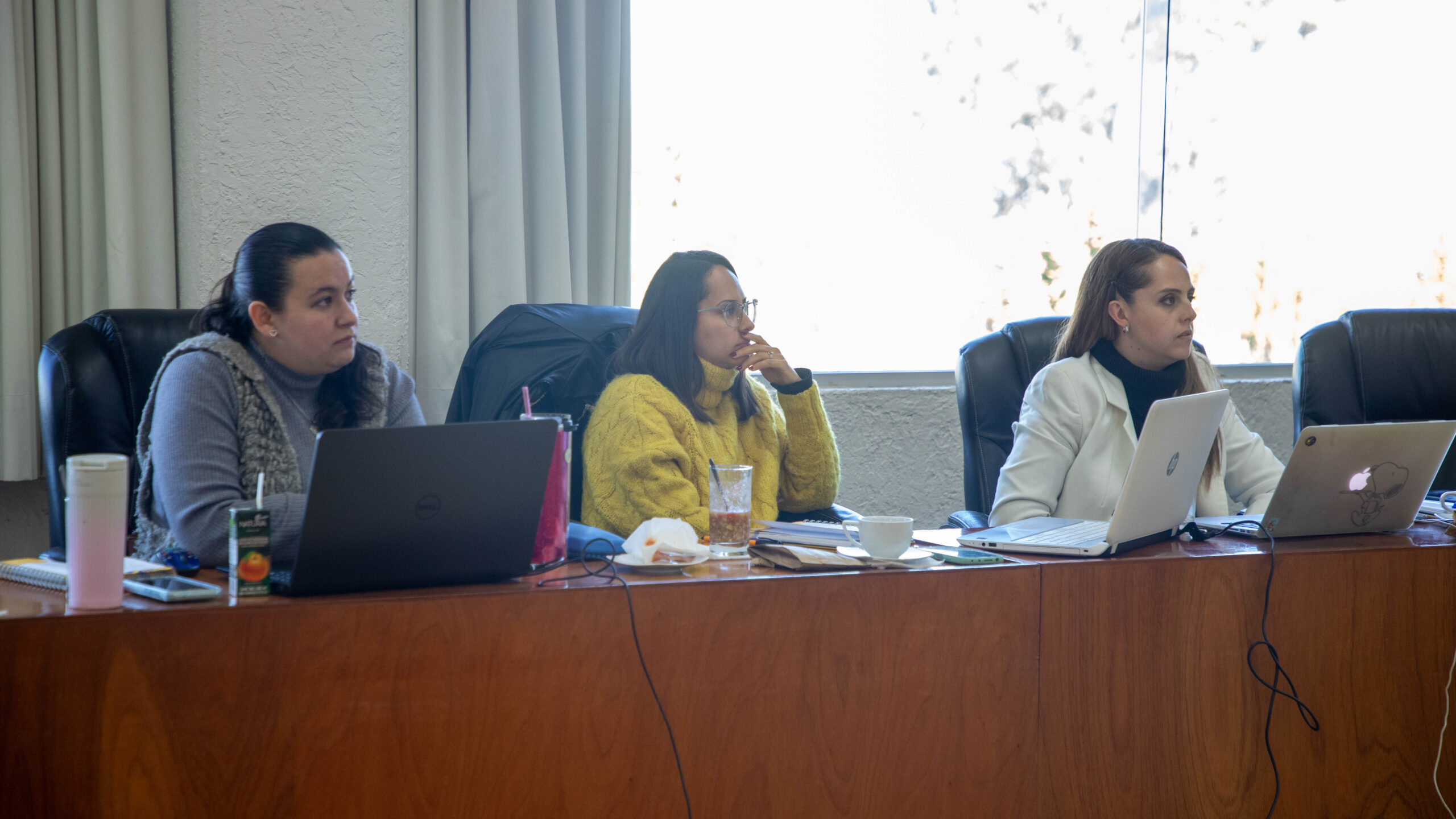 251124 Capacitación Evaluadora Nutrición -14