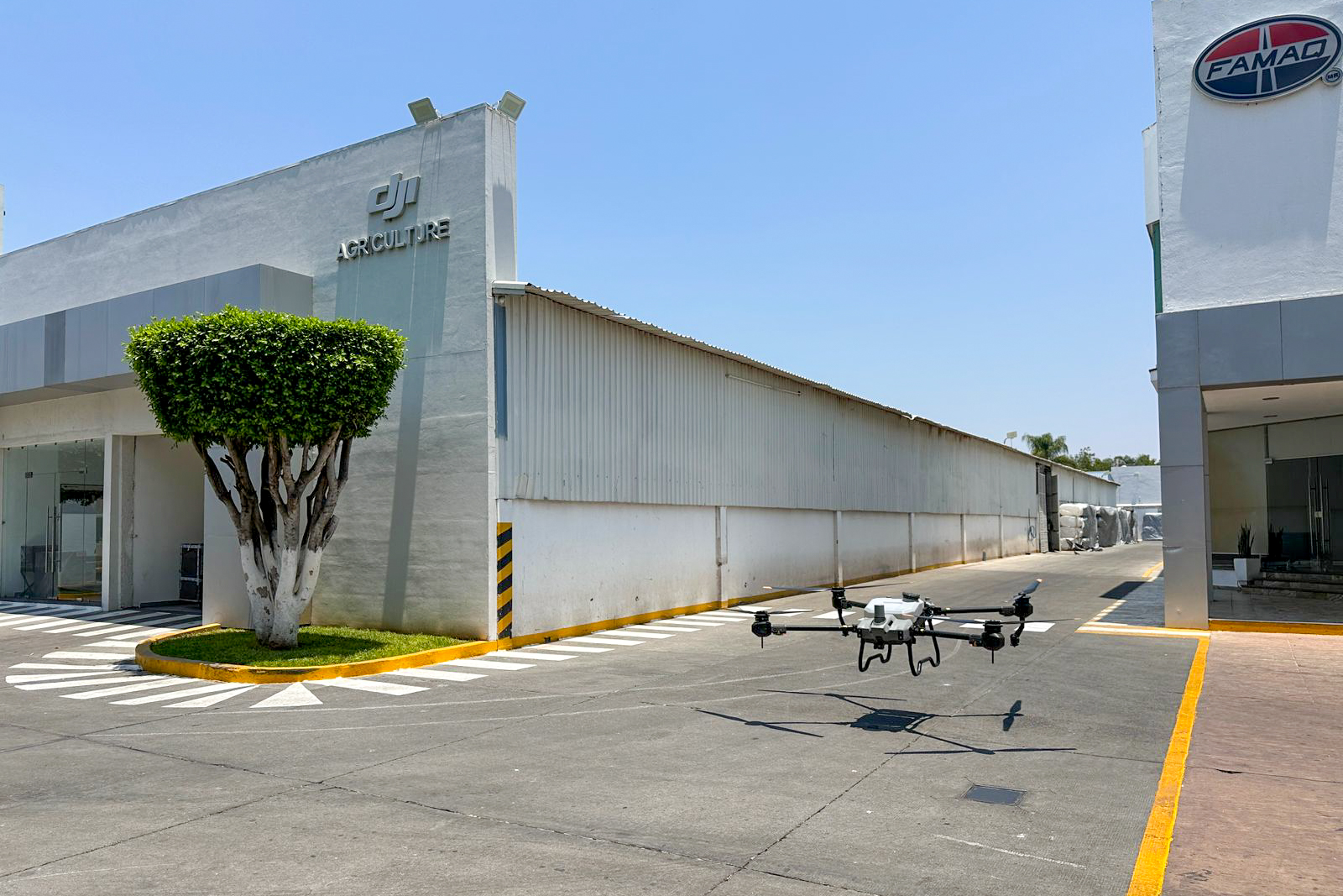 250618 IITA Zamora-9
