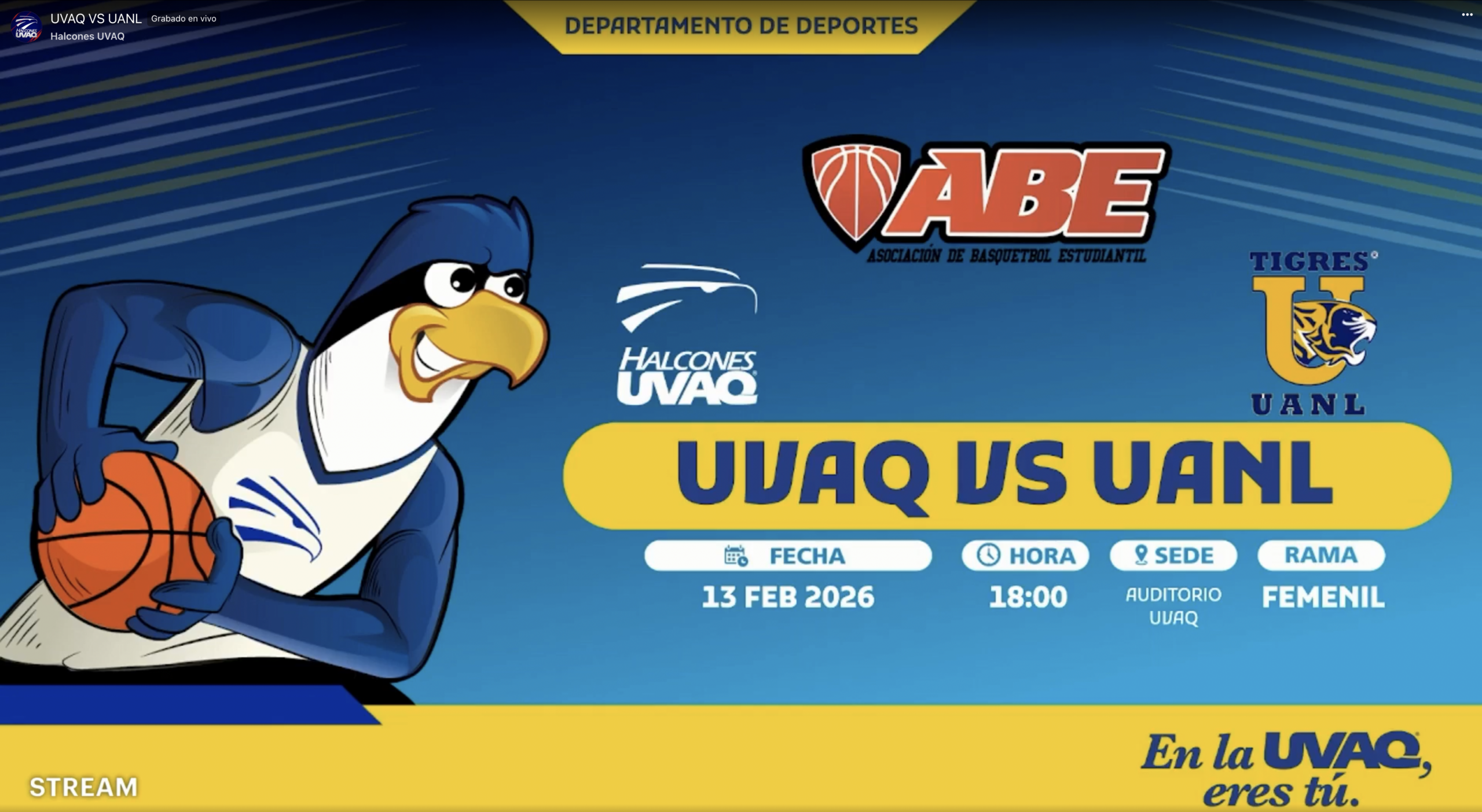 Halconas quieren levantar el vuelo en la Liga ABE