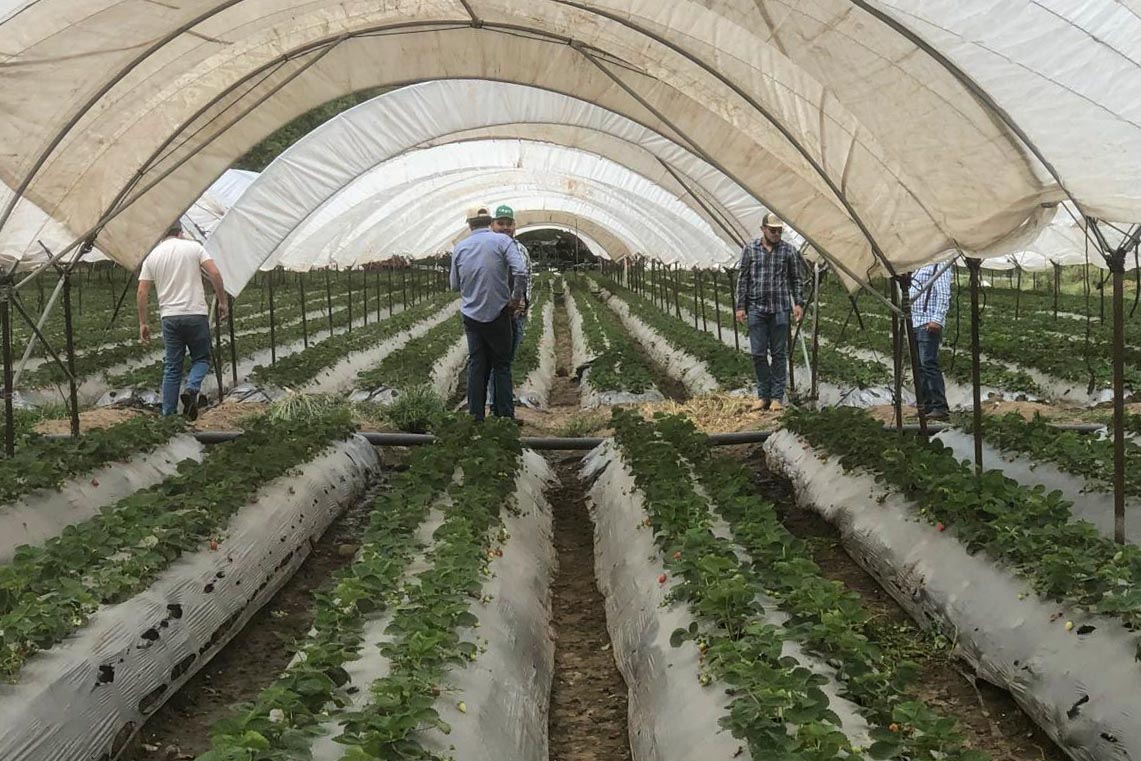 El campo requiere formación y cooperación, explicó la Directora de Innovación Agrícola en UVAQ Zamora