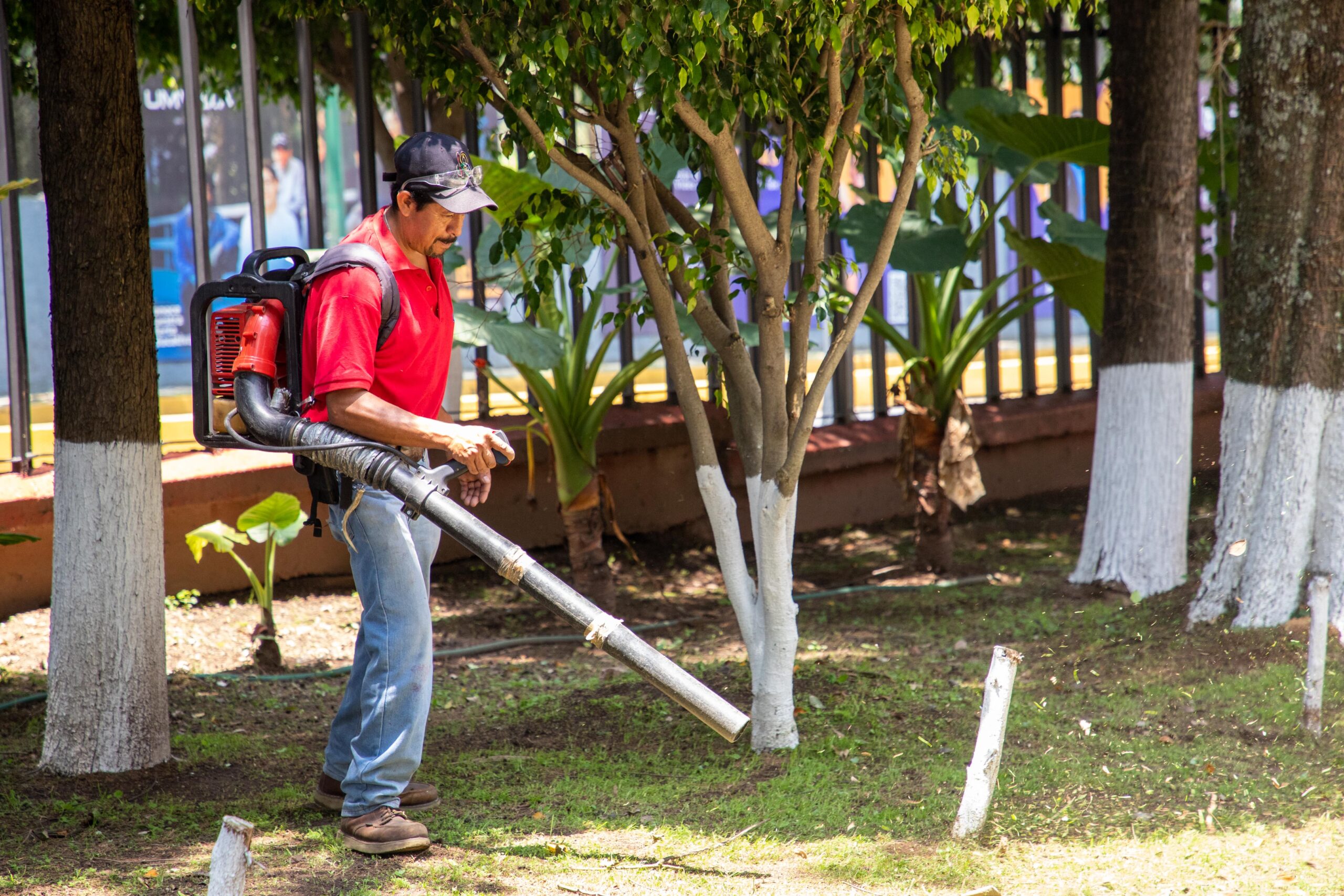 260720 Arreglos del Campus 05