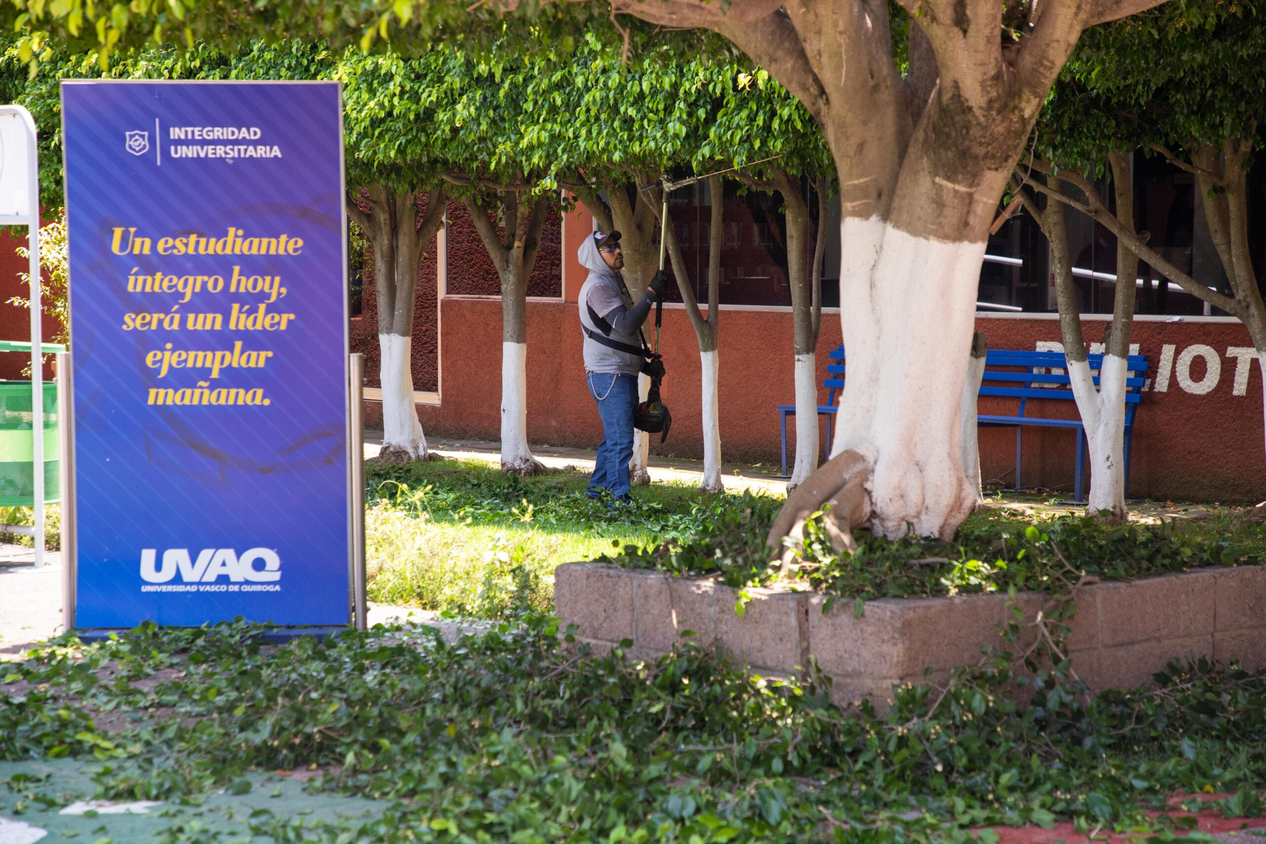 260720 Arreglos del Campus 17