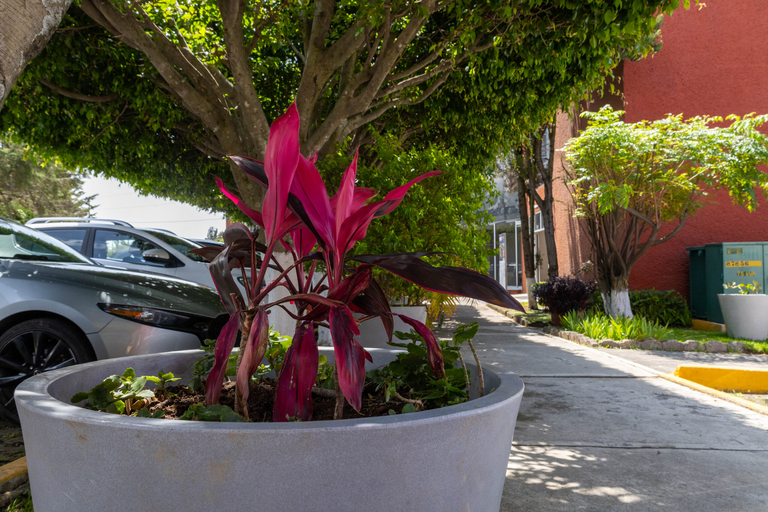 260722 Jardinería-11