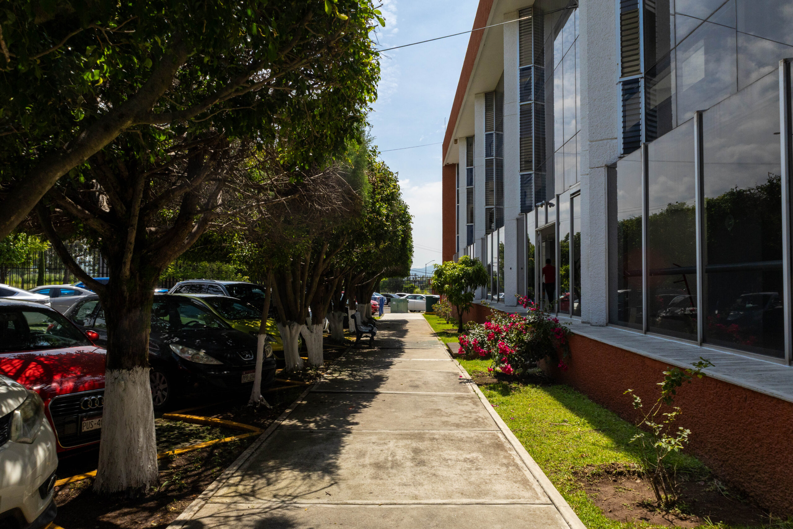 260722 Jardinería-12