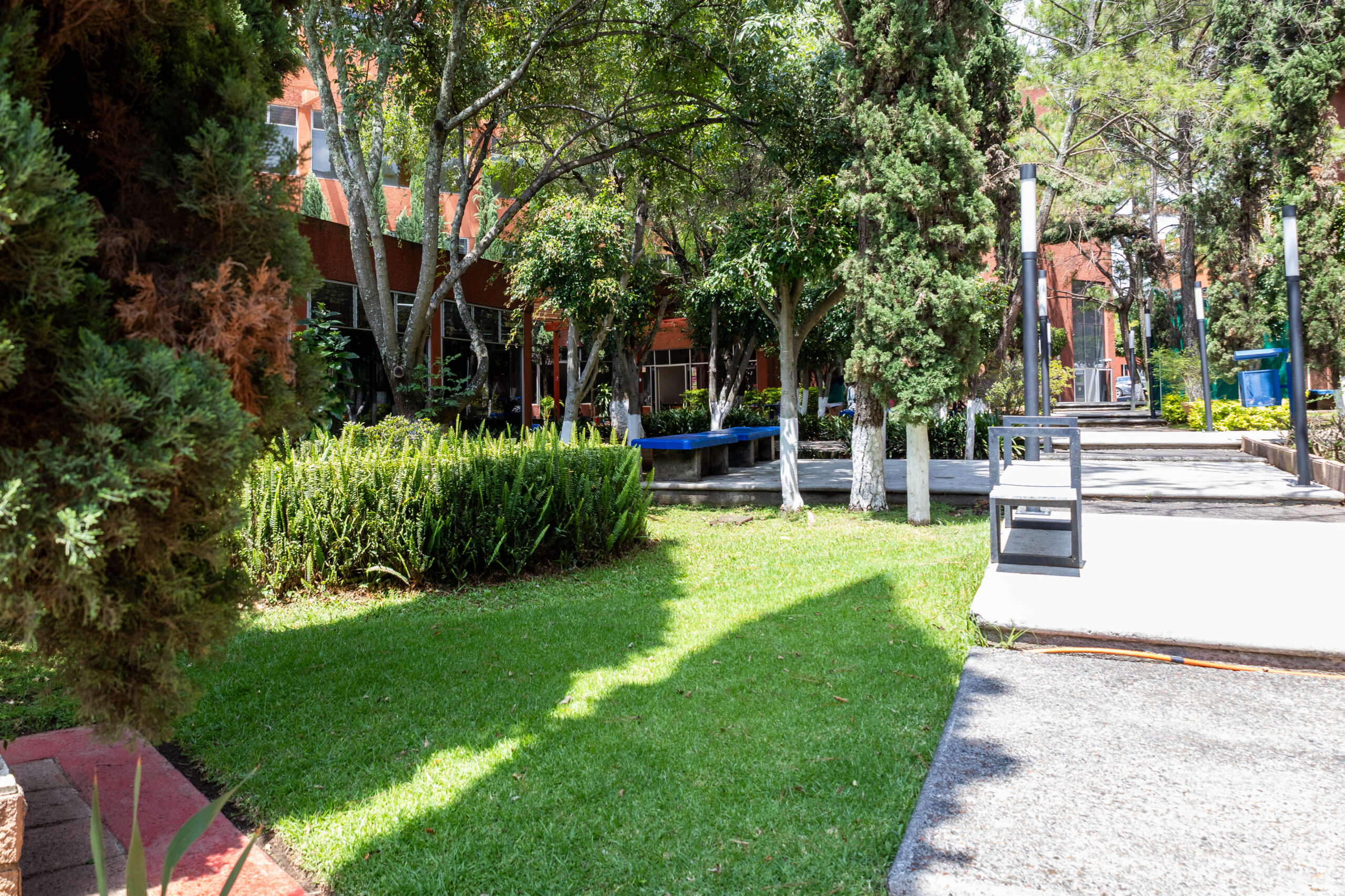260722 Jardinería-4