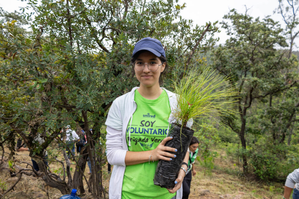 260829 Reforestación-14