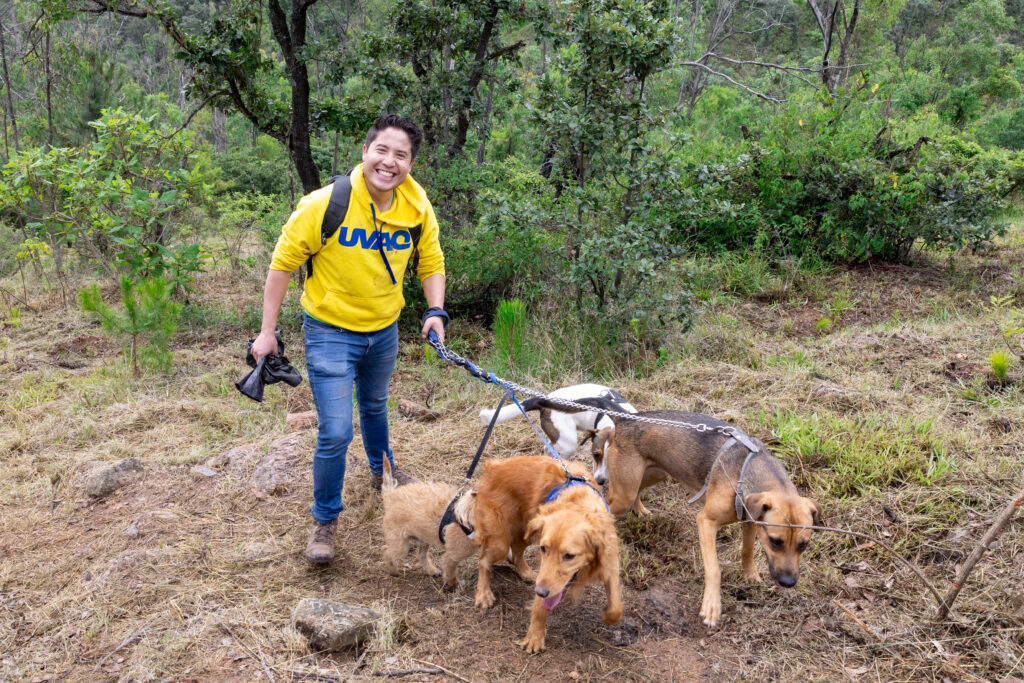 260829 Reforestación-17
