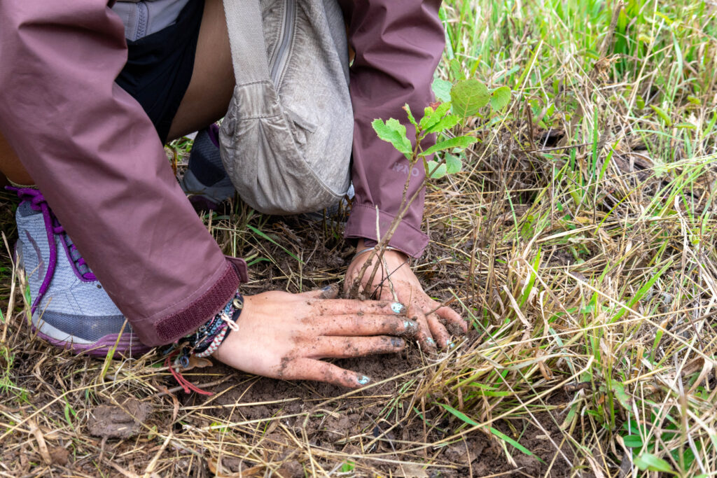 260829 Reforestación-20